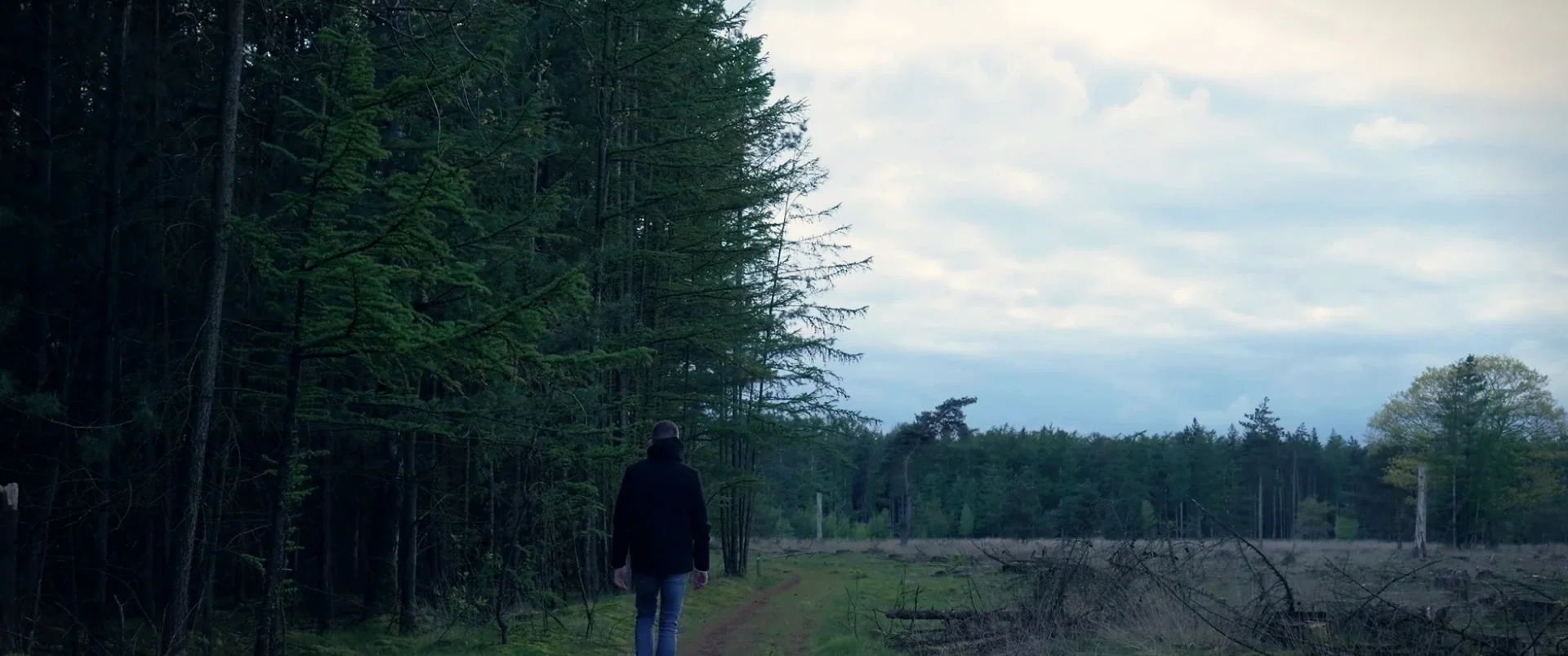 A person walking at a forest edge