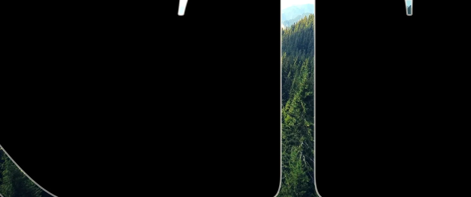 Extreme zoom into the stem of the letter T