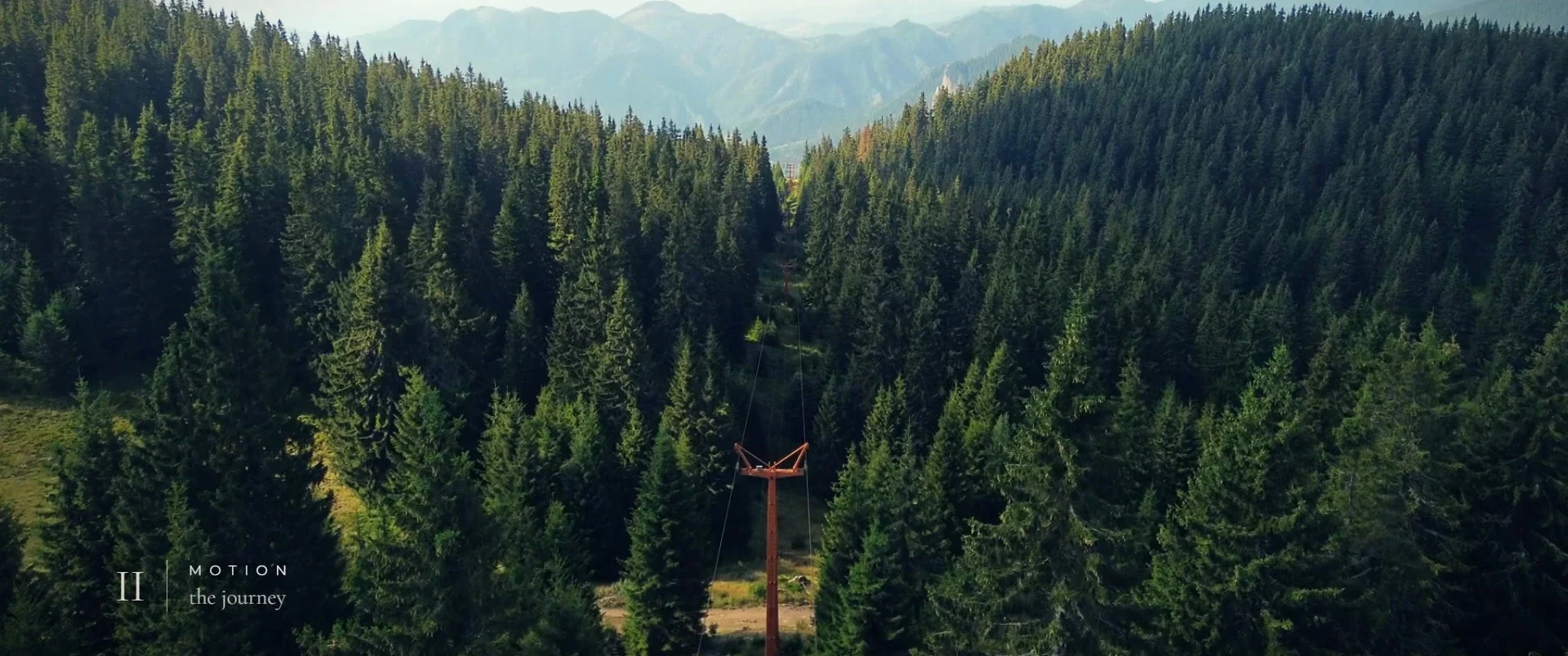 Pine forest with the chapter card II Motion